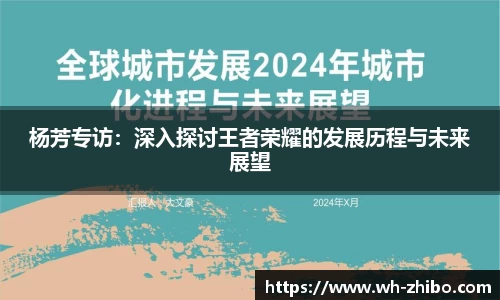 杨芳专访：深入探讨王者荣耀的发展历程与未来展望