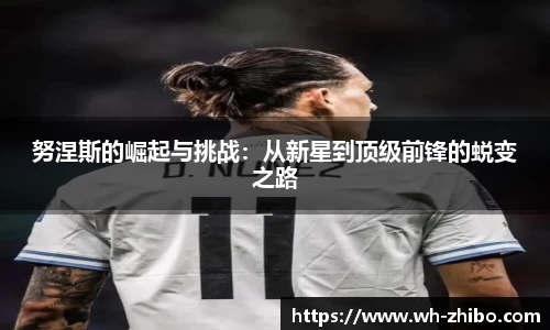 努涅斯的崛起与挑战：从新星到顶级前锋的蜕变之路